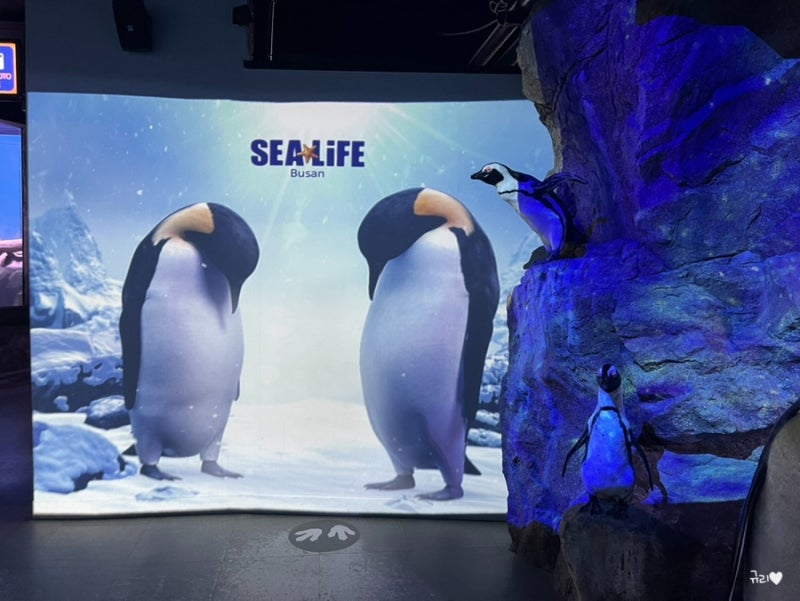 SEA LIFE BUSAN 1.jpg