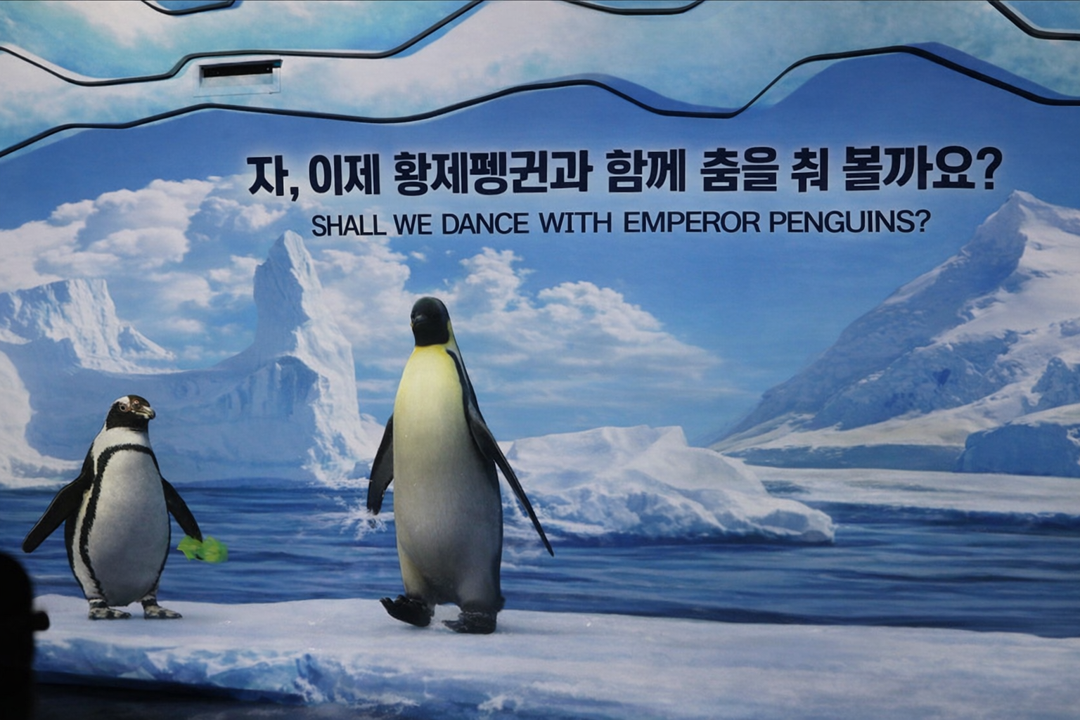 SEA LIFE BUSAN _Image.png