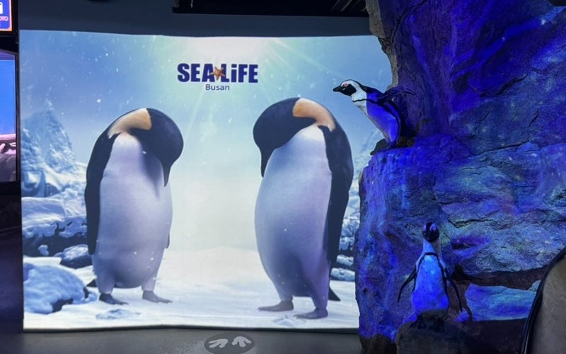 SEA LIFE BUSAN