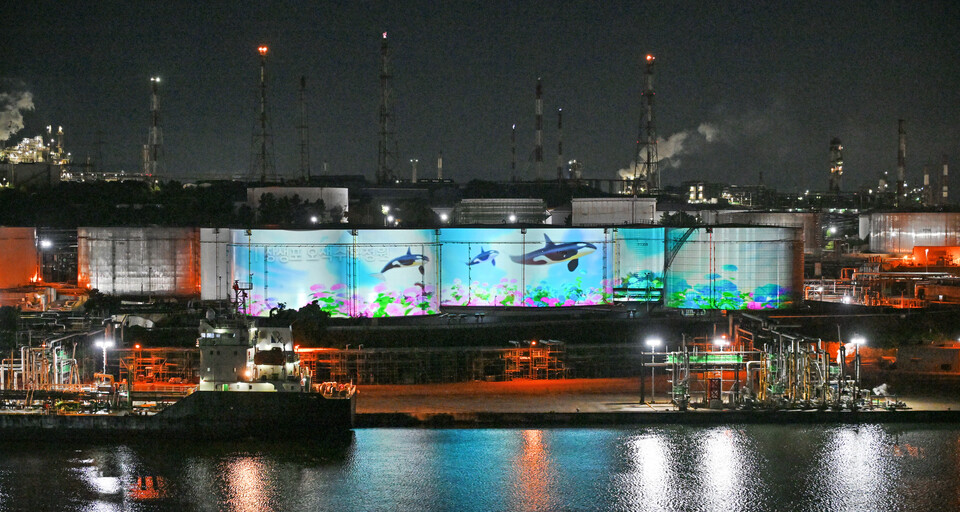 557397_256284_824.jpg